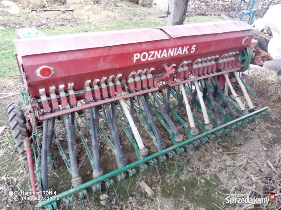 Siewnik poznaniak so43 opolskie Trzeboszowice