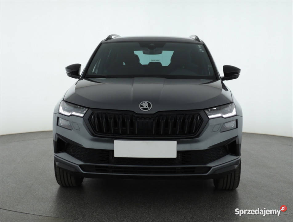 Skoda Karoq 15 TSI szary Katowice