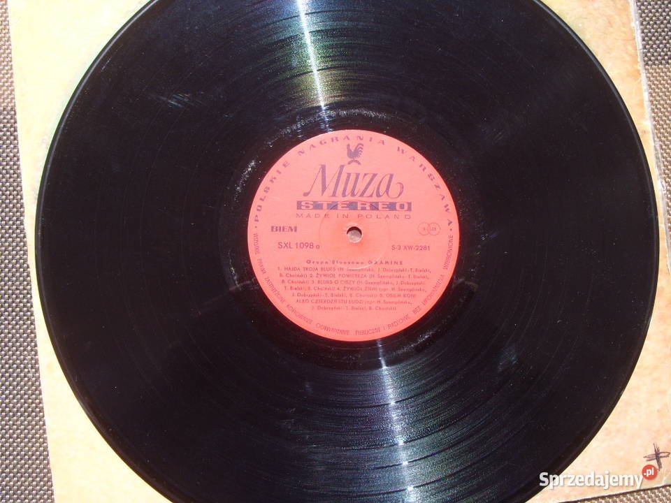 Winyl LP GRAMINEGRUPA BLUESOWA Muza SXL 1098 Płyty i kasety Wołów