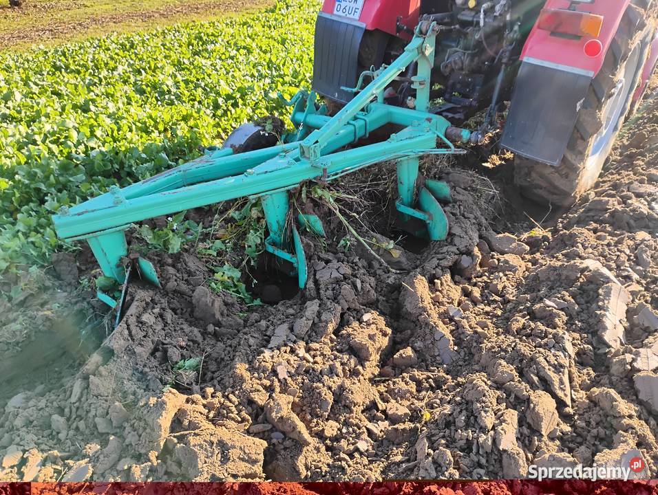 Pług 3skibowy sprzedam