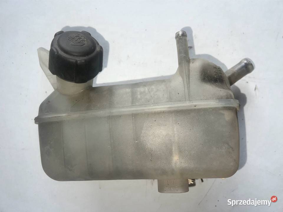 Zbiorniczek płynu hamulcowego Renault Megane II Ostrzeszów