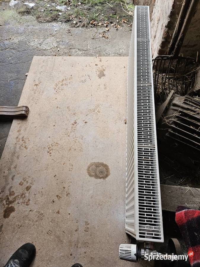 grzejnik Kermi z termostatem 140x50 Grzejniki opolskie Nowe Budkowice