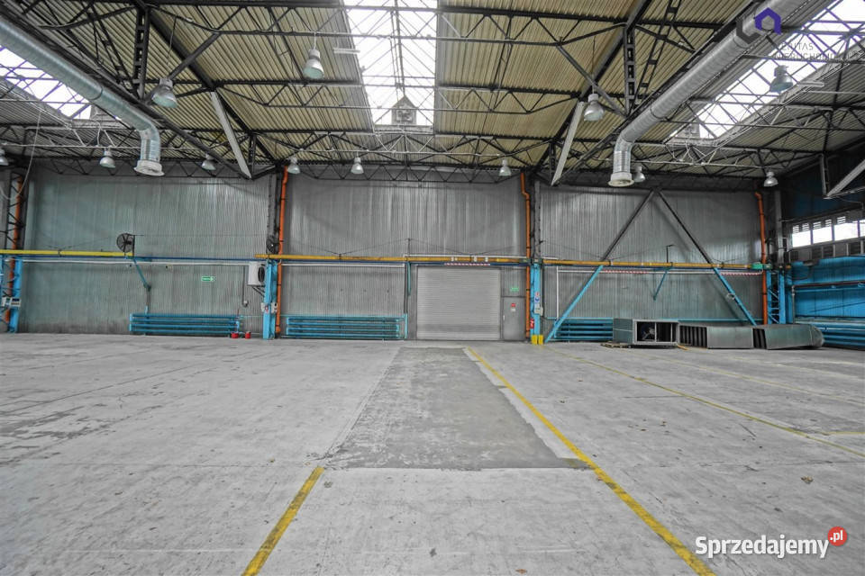 Lokal 3050m2 Mikołów
