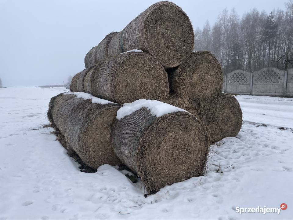 Słoma pszenżytnia i jęczmienna Łódź