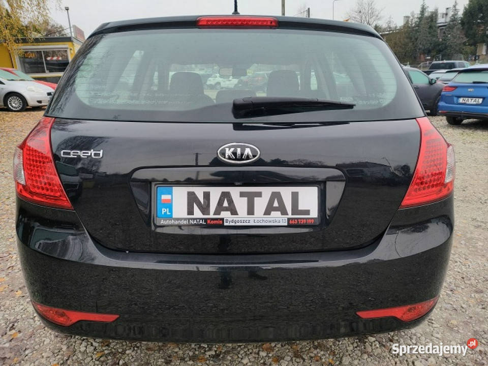 Kia Ceed 89000 Navi Kamera I 20062012 Bydgoszcz