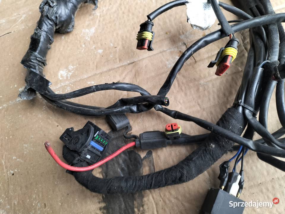 WTYCZKA WSÓWKA KOSTKA WIĄZKA INSTALACJA Kamień-Kolonia sprzedam