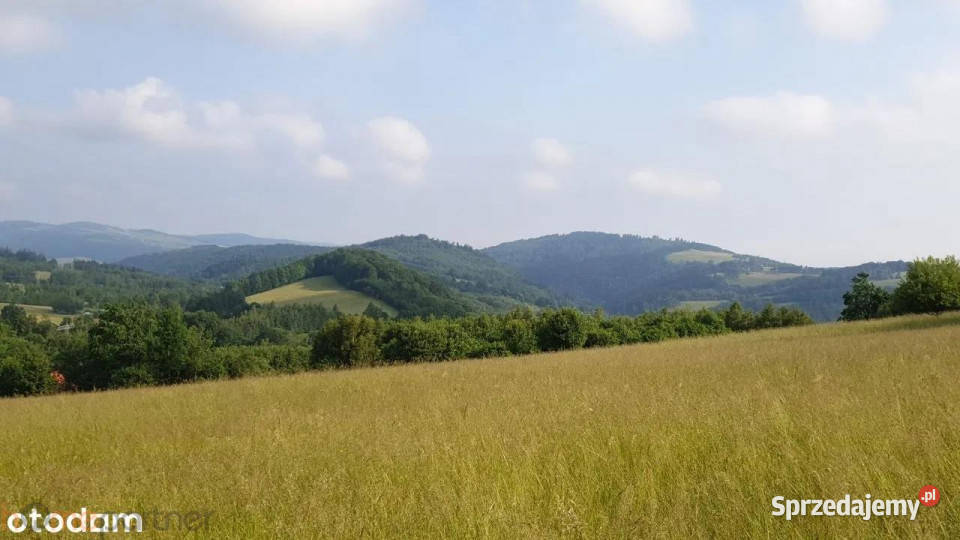 Działkę sprzedam Walim 3566m2 gaz