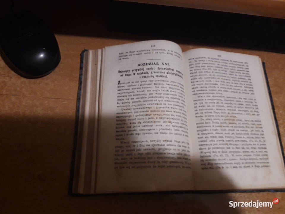 PRZEWODNIK GRZESZNIKÓW ŚwLudwika z Grenady Iwno