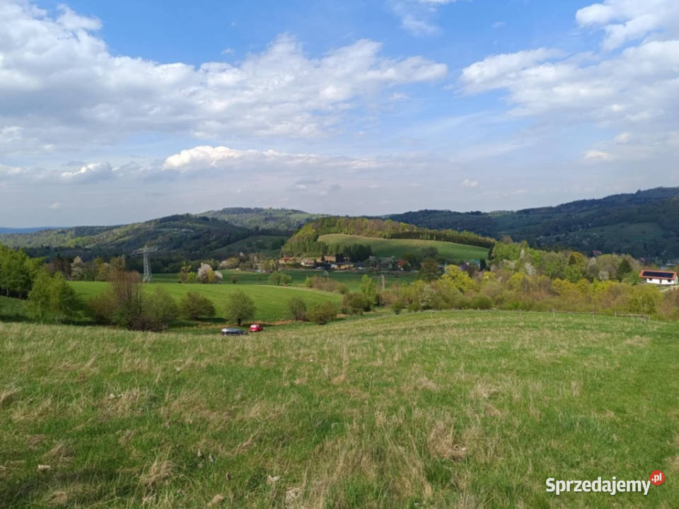 Działki pod lasem z panoramicznym widokiem Walim