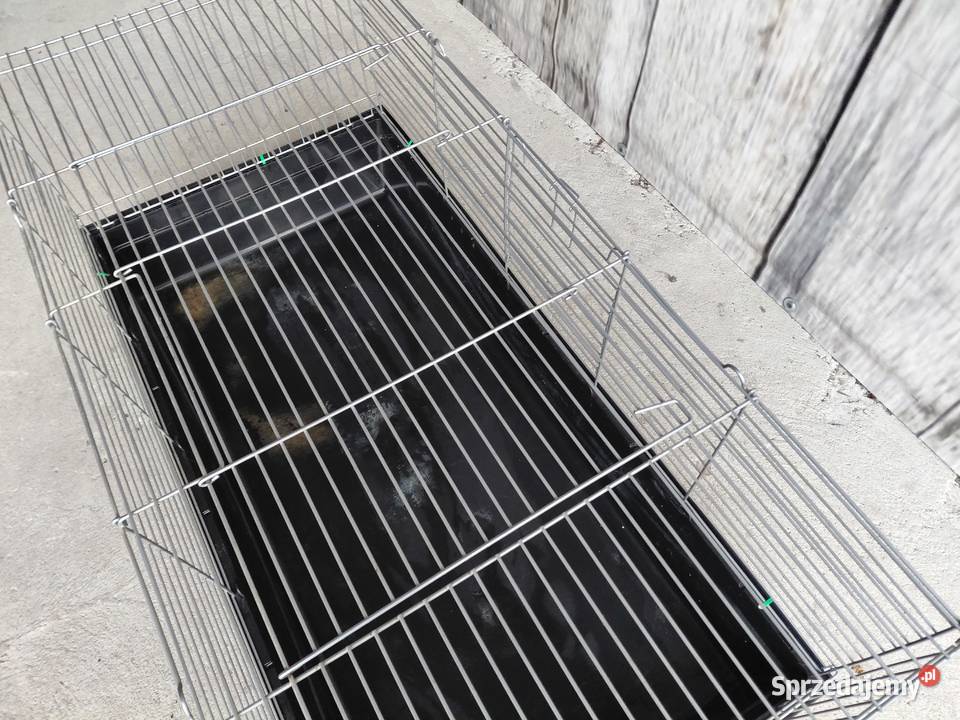 duża klatka zwierzątka 324 kujawsko-pomorskie Byczyna