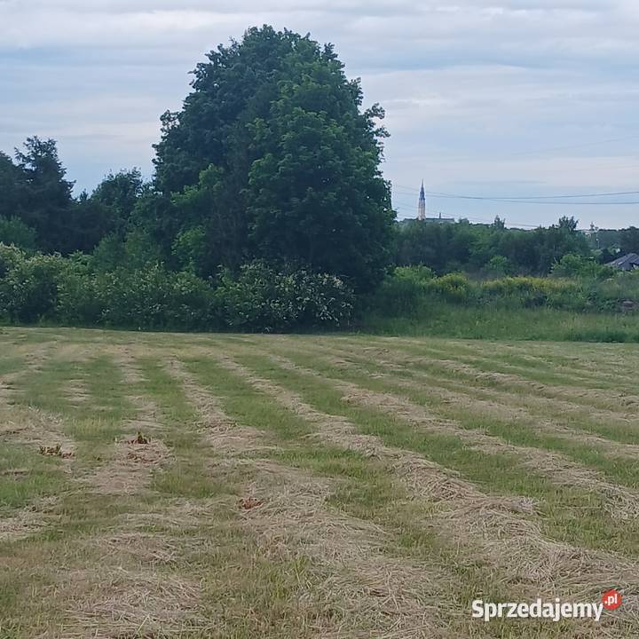 Działka z WZ 1000 m Częstochowa Stradom natura