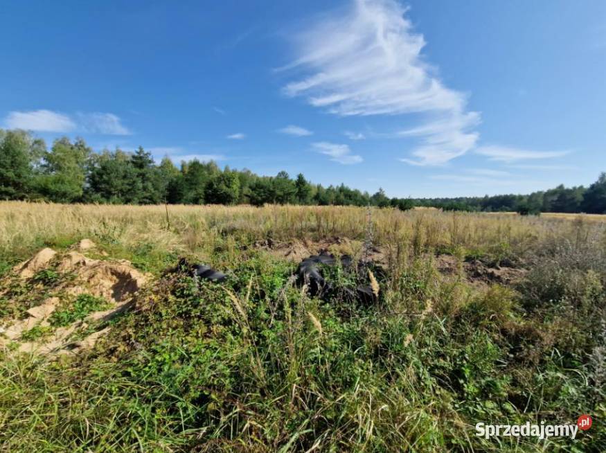 Syndyk sprzeda nieruchomość gruntową Syndyk sprzeda Kuny