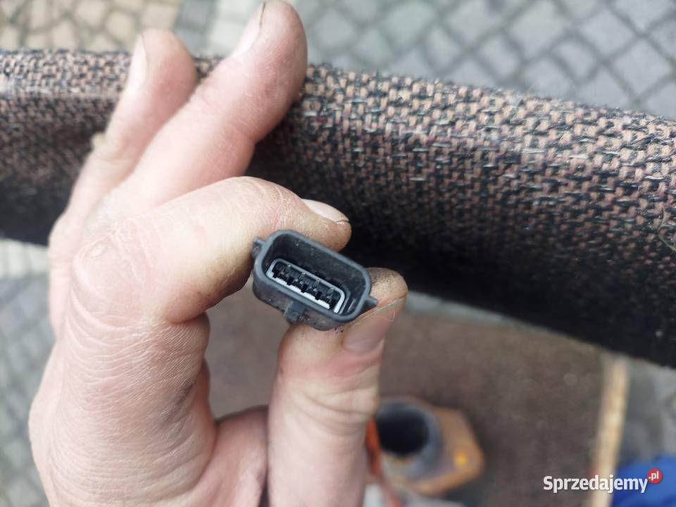 Kolektor wydechowy SONDA Renault Clio Modus 12 Niegowonice