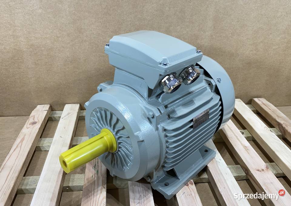 silnik elektryczny 15kW 2940obr 3fazowy 160B3 Pigża