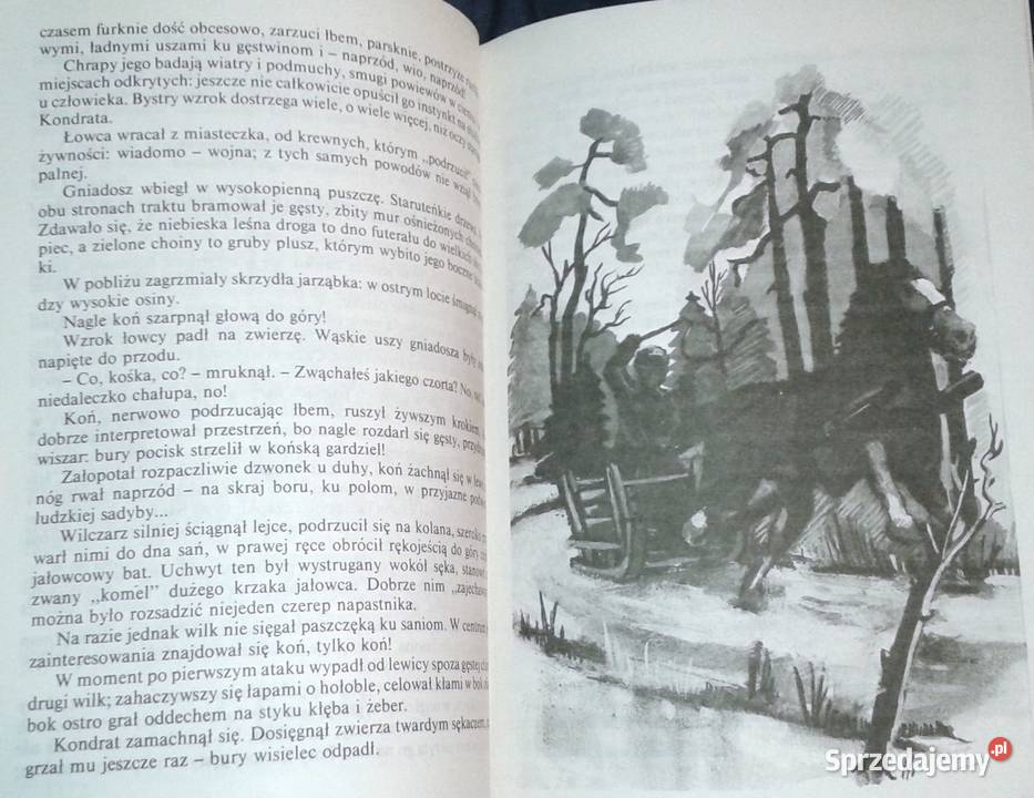 Żelazny wilk Tytus Karpowicz Pozostałe Chełm