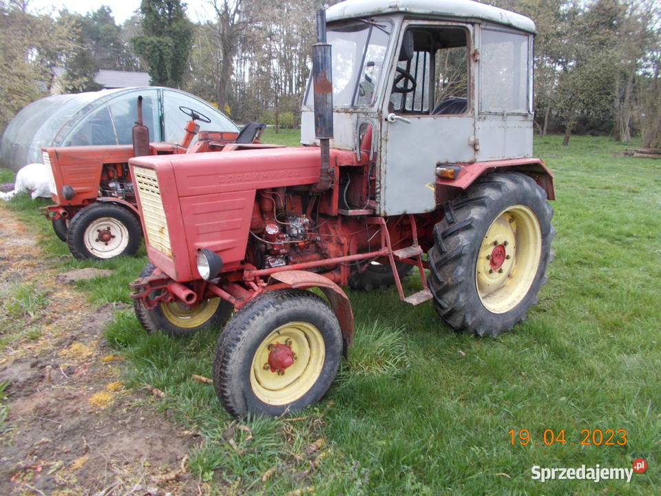 Władimiriec T25 Buczek