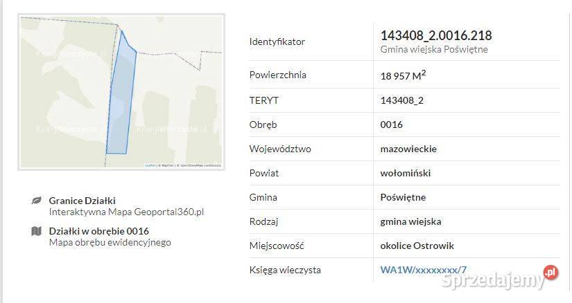 Sprzedam dwie działki Wołomina 34 ha Cięciwa Wołomin