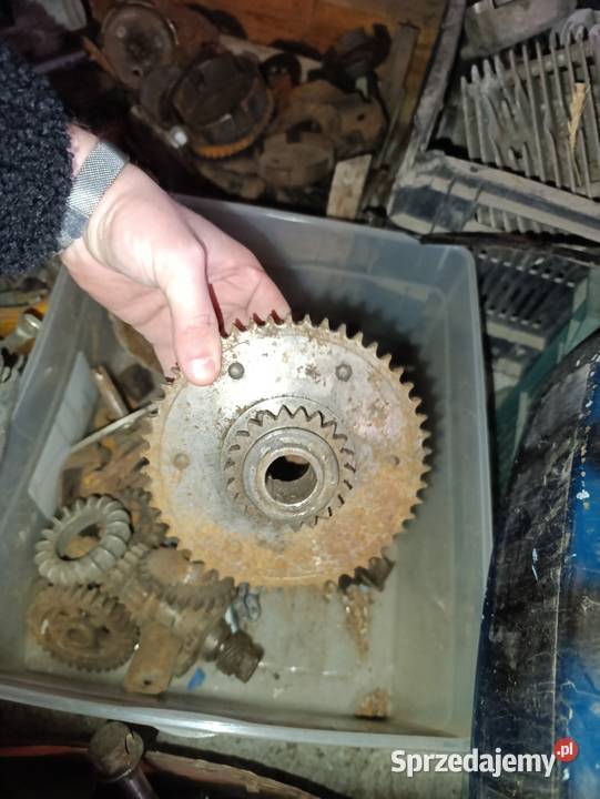 Panonia wał skrzynia kopniak Kielce