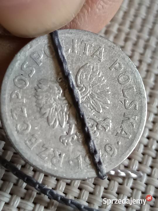 Sprzedam 50 groszy 1949 lekka skrętka Chełm sprzedam
