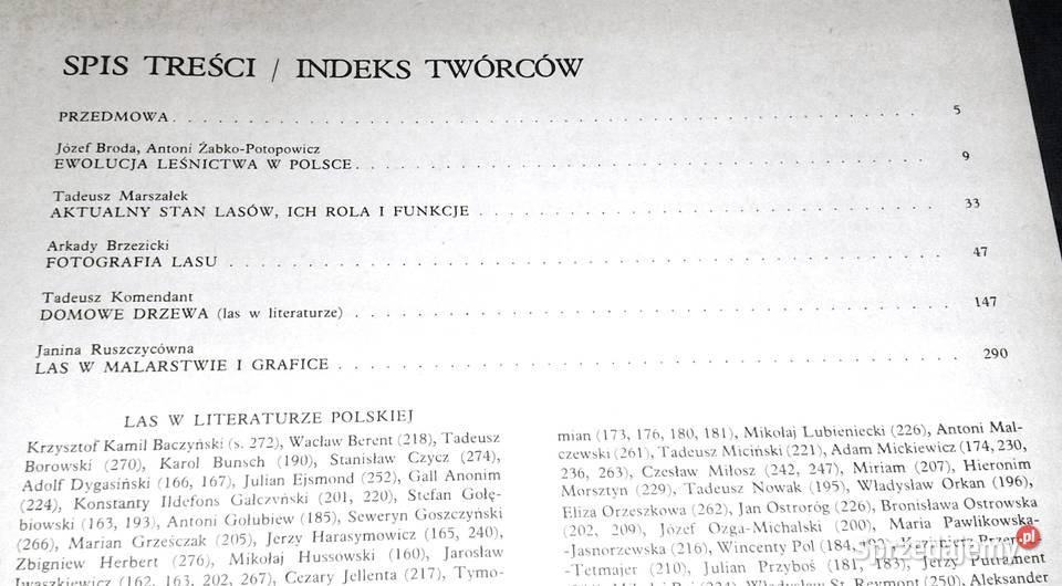 W głąb lasu Las w polskiej literaturze i sztuce Książki i Podręczniki Chełm sprzedam