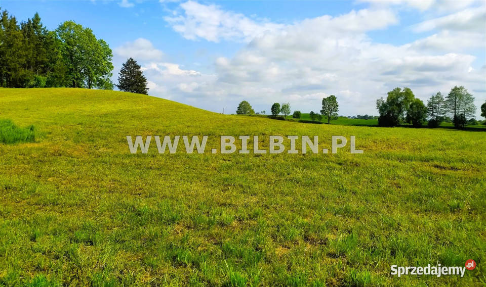 Do sprzedaży grunt Krasnopol 14198m2 woda podlaskie sprzedam