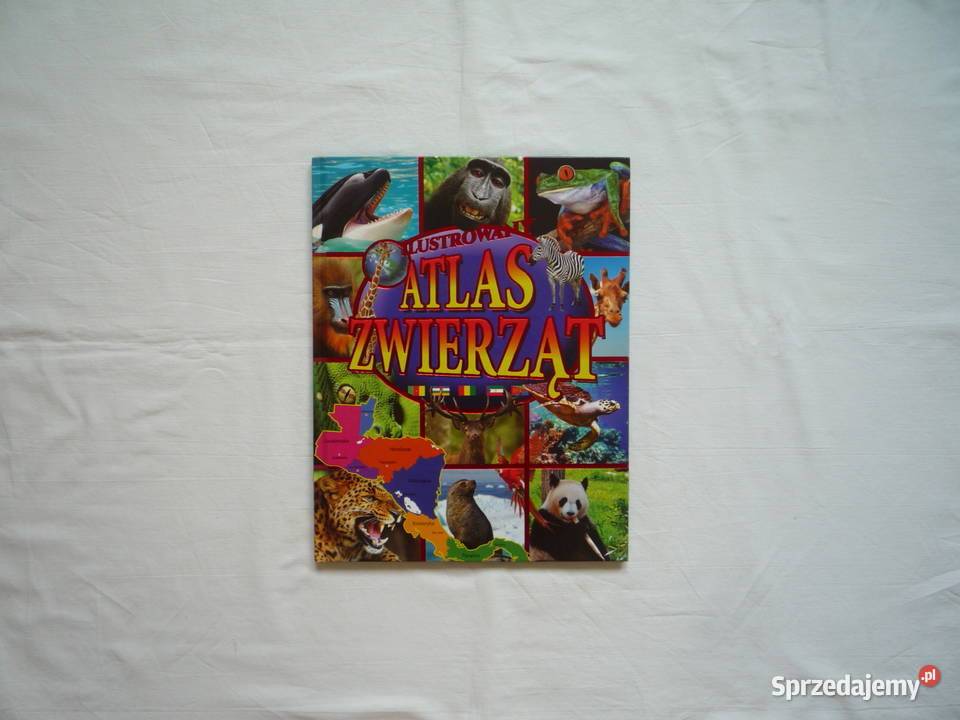 NOWA Ilustrowany Atlas Zwierząt Album Twarda Szczecin
