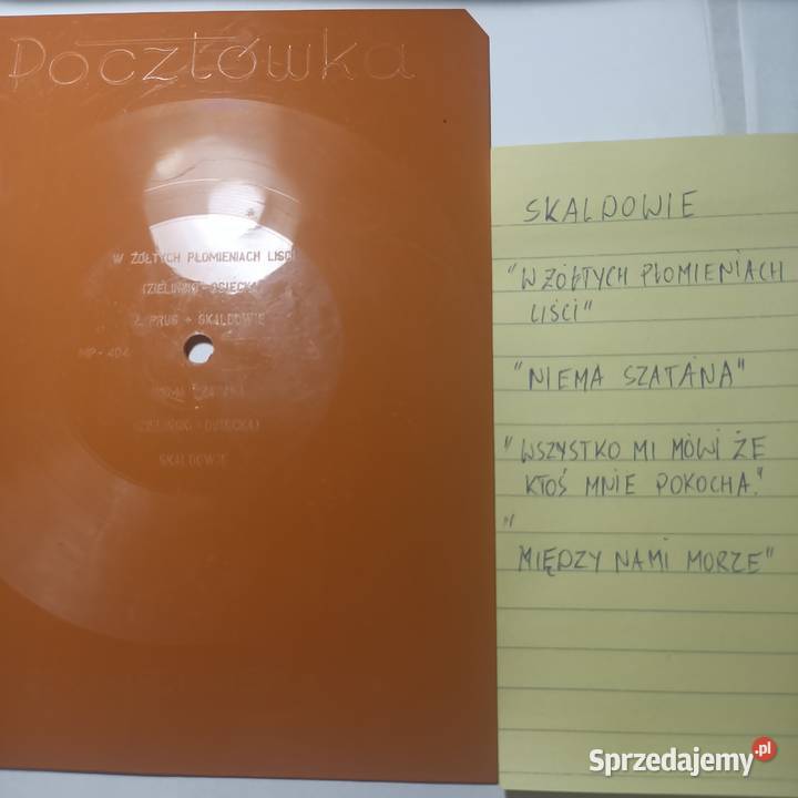 pocztówki dzwiękowe 2 SKALDOWIE Płyty i kasety Rybnik