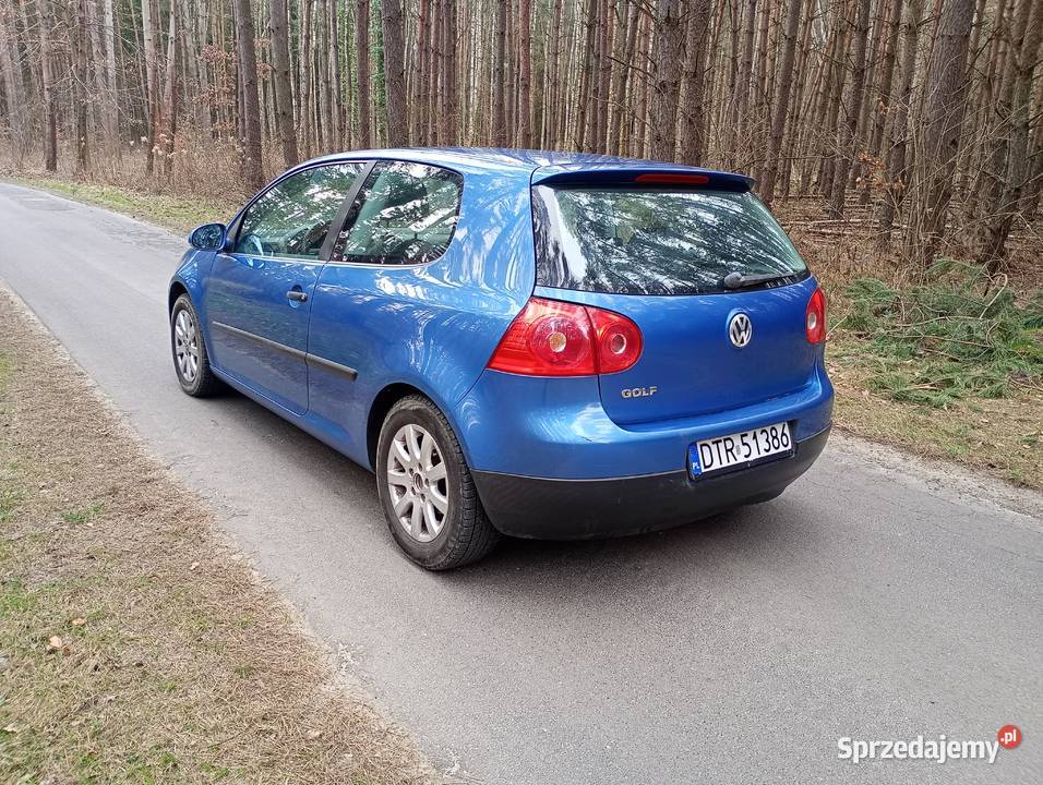 volkswagen golf V 20 SDI klima tempomat długie Złotów sprzedam