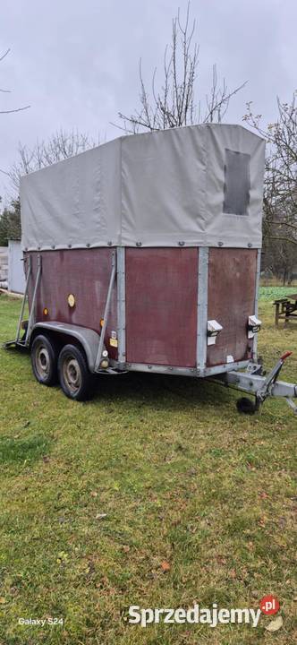 Przyczepa do przewozu zwierząt nieuszkodzony sprzedam