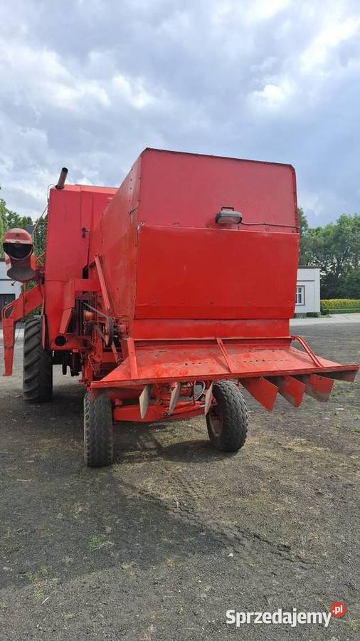 Kombajn Bizon Super z rozdrabniaczem słomy i wielkopolskie Gniezno