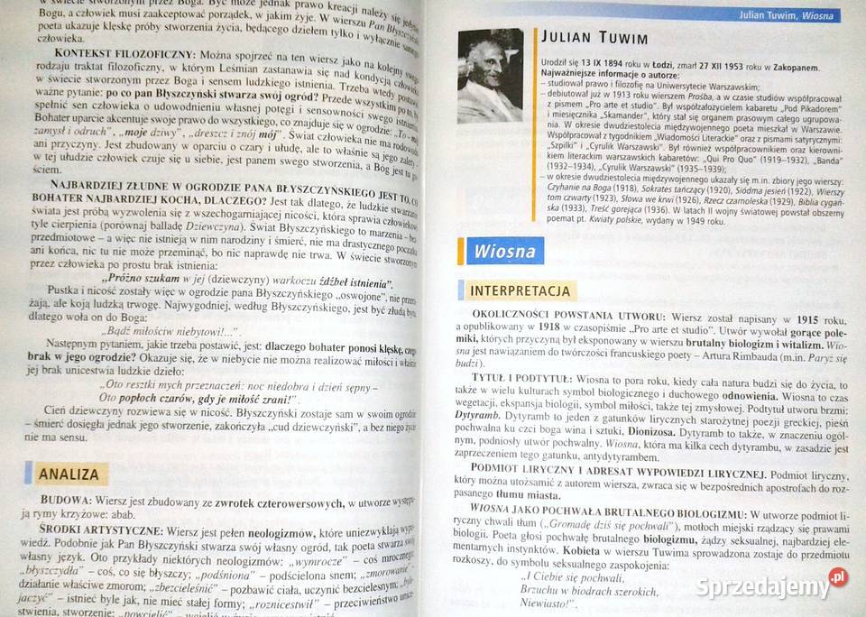 Mega Bryk Język polski 6 Dwudziestolecie Chełm