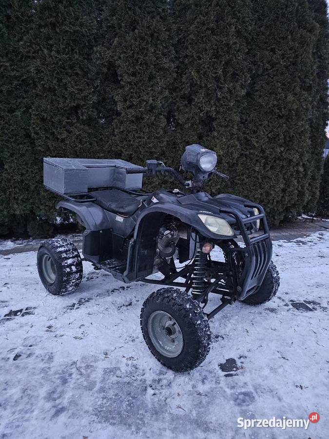 Quad 200cc EGL EAGLE BASHAN MANUAL SOLIDNA RAMA nieuszkodzony EGL Eglmotor sprzedam