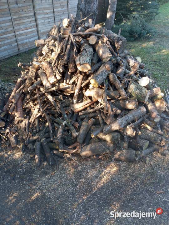 Drewno na opał Kostrzyn sprzedam