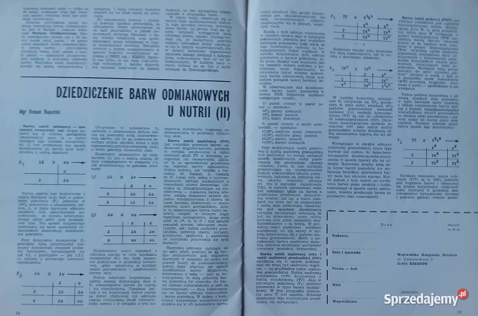 Hodowca Drobnego Inwentarza 4 1977 r