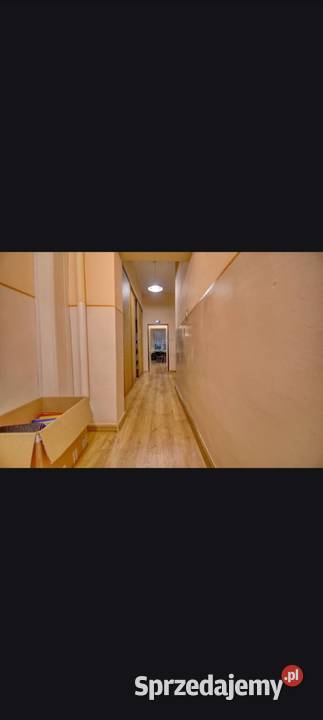 Lokal użytkowy wielkopolskie Poznań