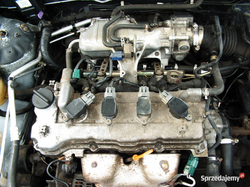 Nissan Almera 18 etylina Gaz 2004 r Września
