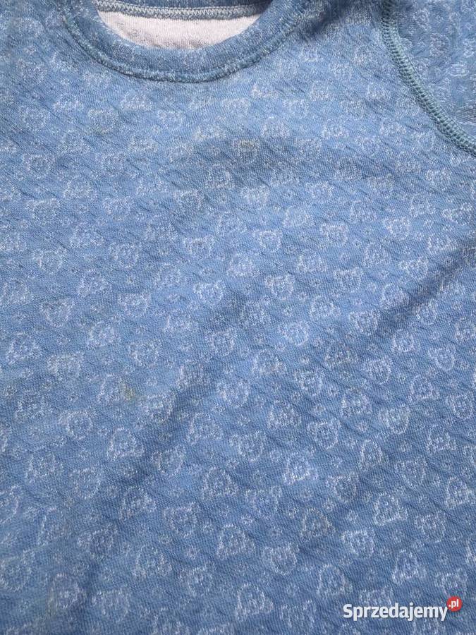 Body Devold Active merino wool wełna merynosa Chrzanów