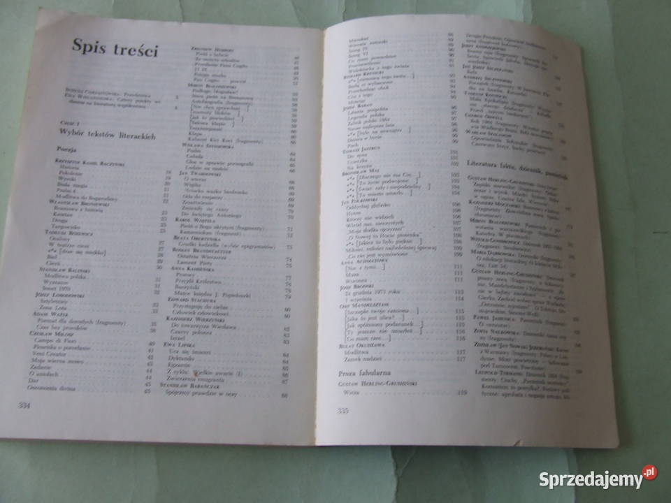 Współczesna polszczyzna Literatura współczesna