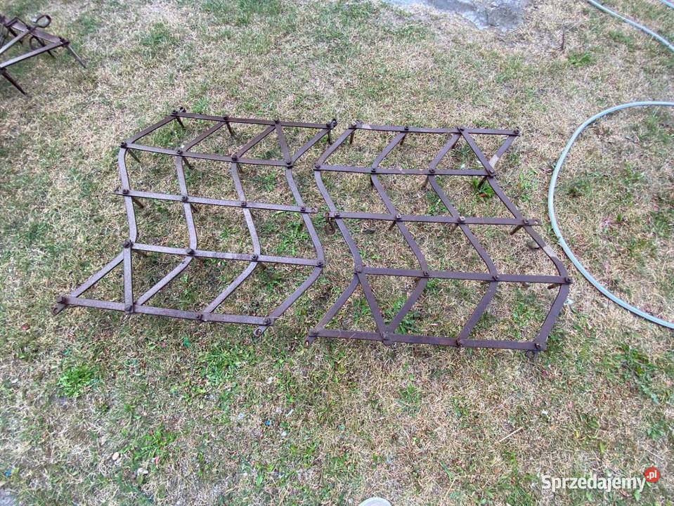 Brony konne mazowieckie Nieporęt