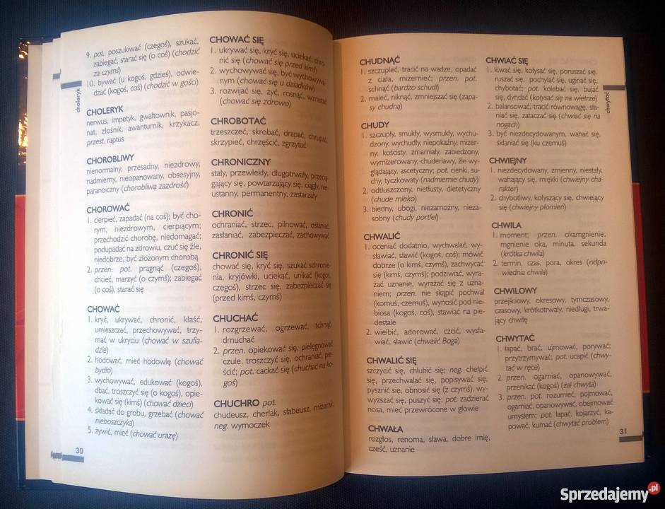 Sprzedam Słownik wyrazów bliskoznacznych kompendium, repetytorium, opracowanie małopolskie