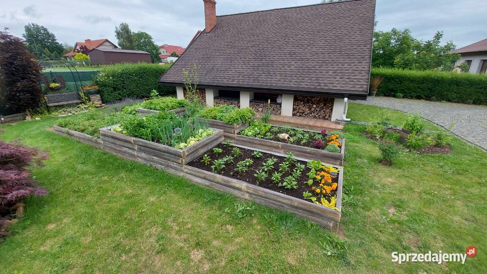 Warzywnik betonowy inspekt Skrzynia na warzywa Warszawa