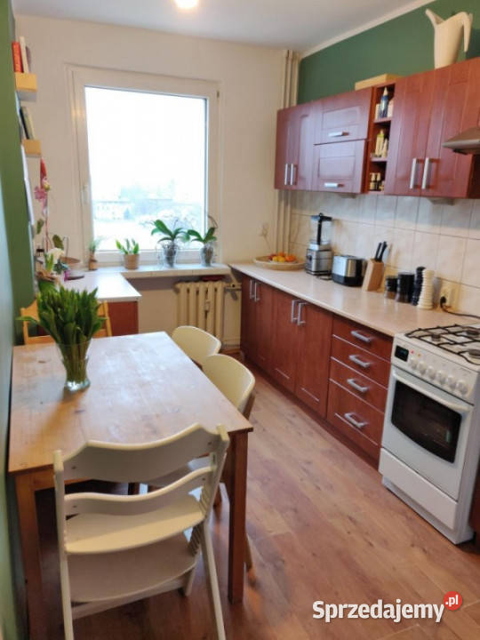 Mieszaknie z widokiem na Park Śląski 50m2 Katowice