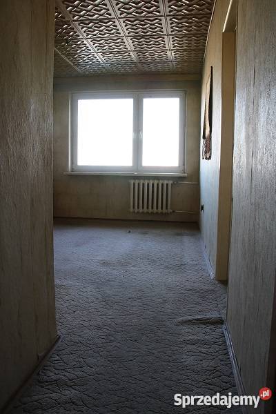 sprzedam mieszkanie 36m2 do remontu Płock sprzedam
