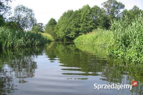 Działka Rolno Budowlana z Lasem Sprzedaż śląskie Częstochowa