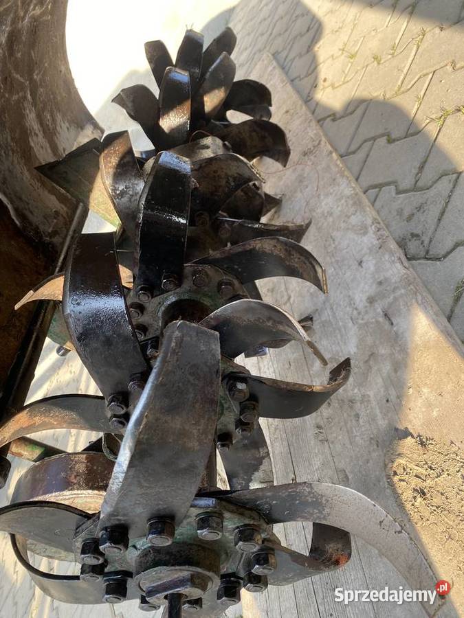 Glebogryzka Grudziądzka Lusławice