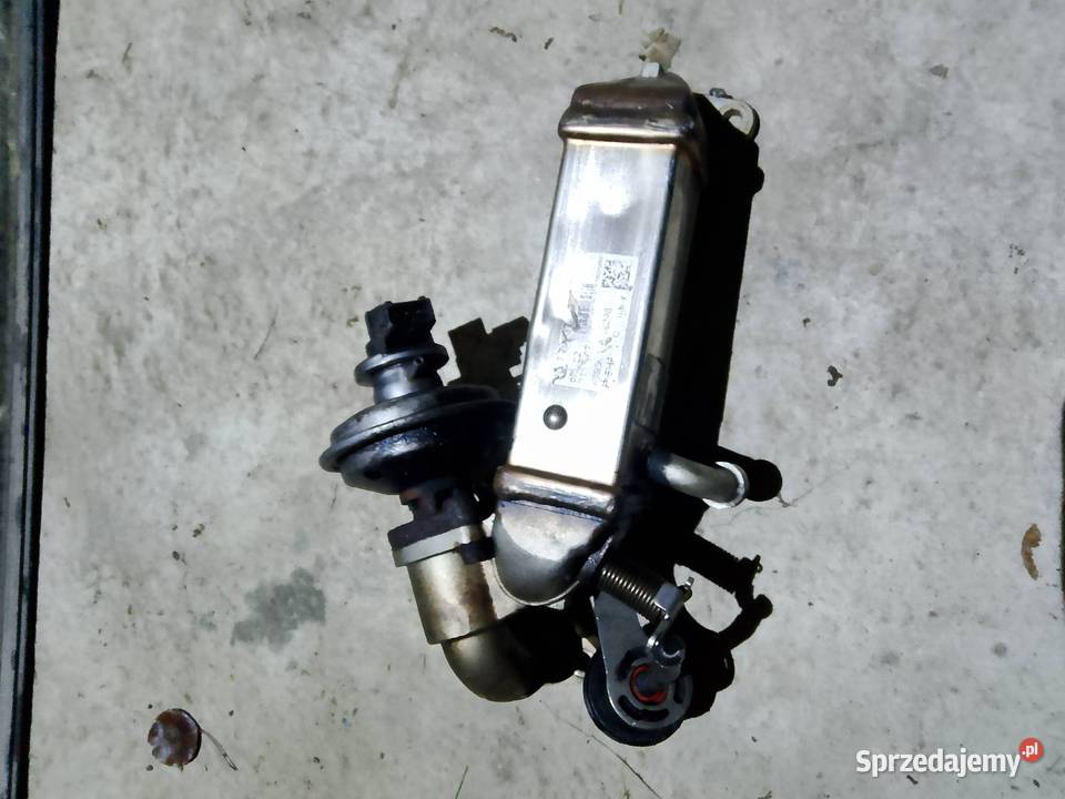 Bmw e81częsci Kowala