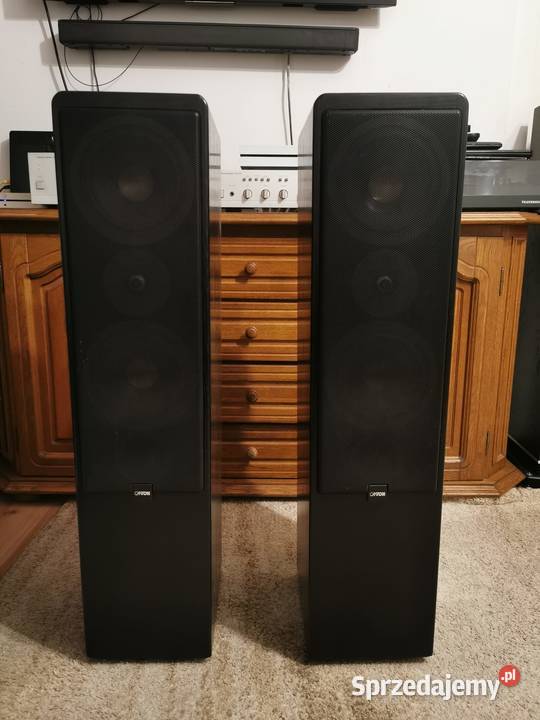 Kolumny Canton ergo 700 DC Sprzęt estradowy, studyjny i DJ-ski