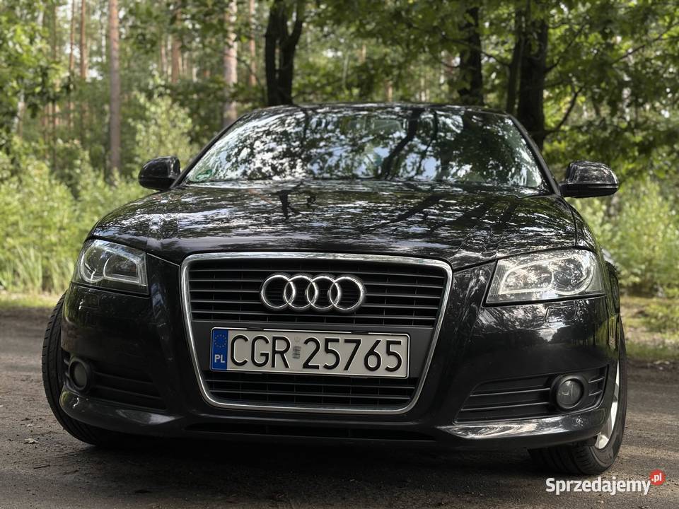 Audi A3 8P 14T 2010R Grudziądz sprzedam
