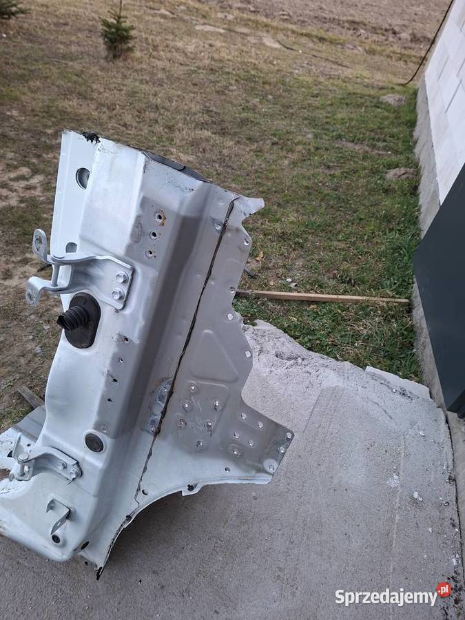 słupek lewy D III wielkopolskie Dziembowo