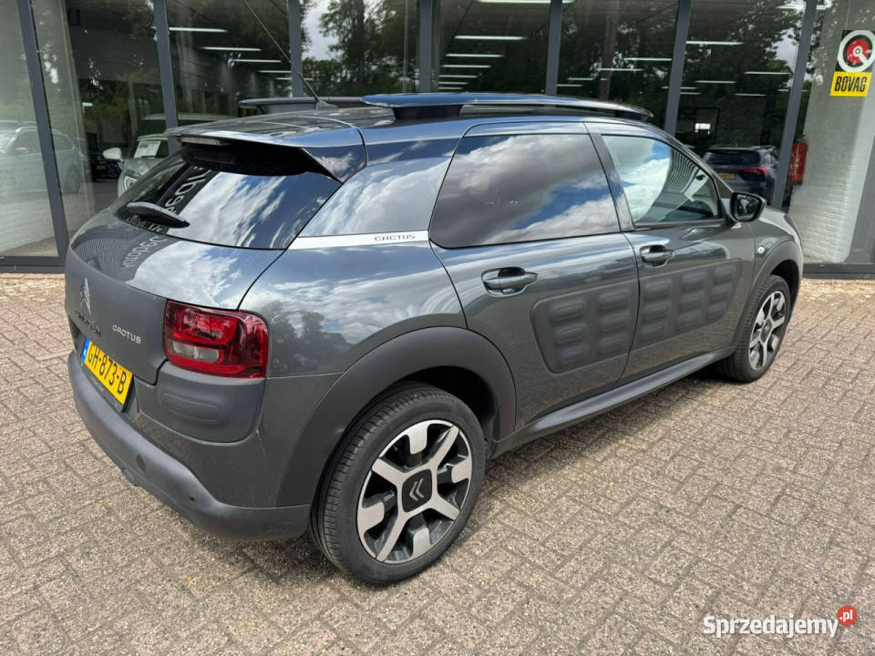 Citroen C4 Cactus Citroen C4 Cactus 12B 2015r C4 Cactus